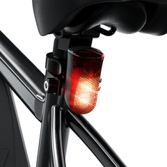 isinwheel M10 Electric Bike
