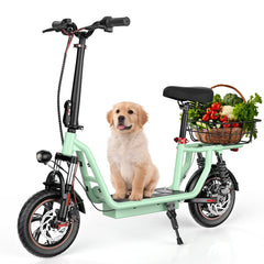 iScooter | i12 Electric Scooter 500W With Big Seat