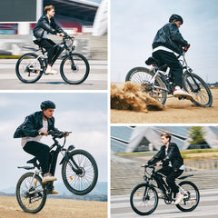 isinwheel M50 Mountain Ebike