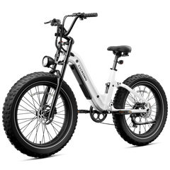 CYCrown | Roma All-Terrain Ebike