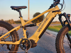 Velowave | Brawny XM MTB Mountain Electric Bike