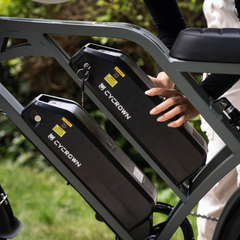 CYCrown | CycHunter Moped-Style E-Bike