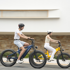 CYCrown | Roma All-Terrain Ebike