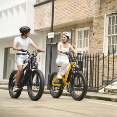 CYCrown | Roma All-Terrain Ebike