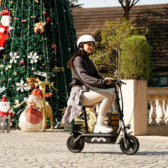 iScooter | F2 Electric Scooter with Seat 10" Pneumatic Tire