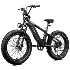 CYCrown | Roma All-Terrain Ebike