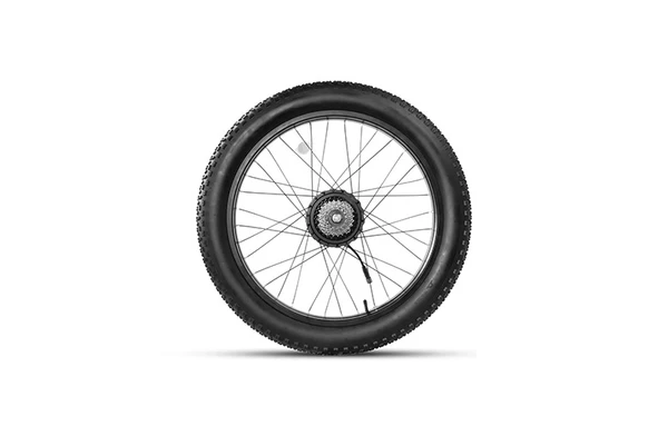 CYCrown | Rear Wheel with Motor