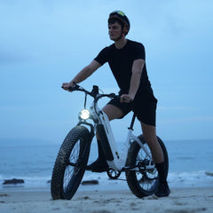 CYCrown | CycVerve Fat Tire Ebike