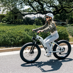 CYCrown | CycVerve Fat Tire Ebike