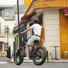 CYCrown | Roma All-Terrain Ebike