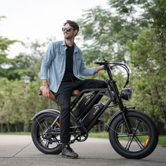 CYCrown | CycHunter Moped-Style Ebike