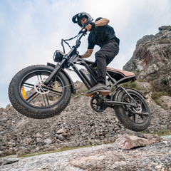 CYCrown | CycHunter Moped-Style Ebike