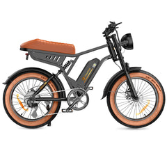 isinwheel R6 1000W Retro Electric Bike