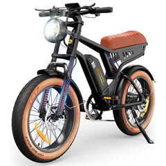 isinwheel R6 1000W Retro Electric Bike