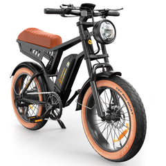 isinwheel R6 1000W Retro Electric Bike