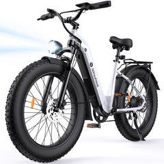 isinwheel U8 Plus Electric Bike for Adults