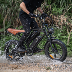 CYCrown | CycHunter Moped-Style E-Bike