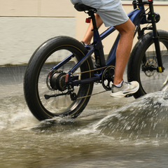 CYCrown | Roma All-Terrain Ebike