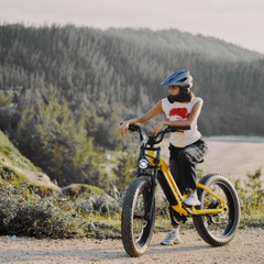 CYCrown | Roma All-Terrain Ebike