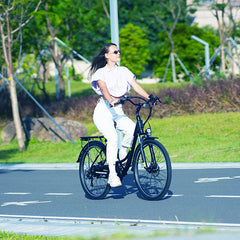 isinwheel U2 Electric Cruiser Bike