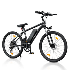 isinwheel M10 Electric Bike