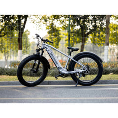 Velowave | Ranger 2.0 Fat Tire All-Terrain Electric Bike