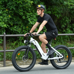 CYCrown | CycVerve Fat Tire Ebike