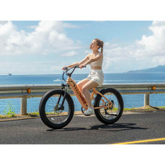 Velowave | Rover Step-Thru Electric Bike