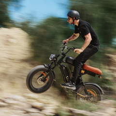 CYCrown | CycRun Vintage Moped E-Bike