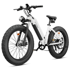 CYCrown | CycVerve Fat Tire Ebike