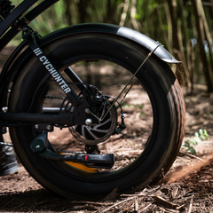 CYCrown | CycHunter Moped-Style E-Bike