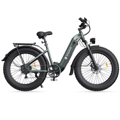 isinwheel U8 Plus Electric Bike for Adults