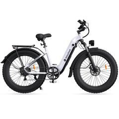 isinwheel U8 Plus Electric Bike for Adults