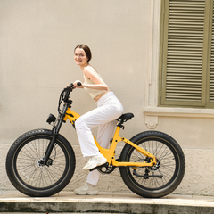 CYCrown | Roma All-Terrain Ebike