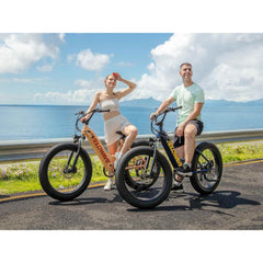 Velowave | Rover Step-Thru Electric Bike