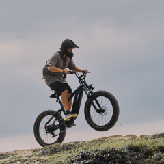 CYCrown | Roma All-Terrain Ebike