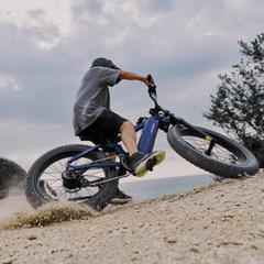 CYCrown | Roma All-Terrain Ebike