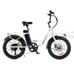 isinwheel U7 Cargo Bike