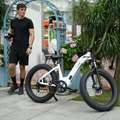 CYCrown | CycVerve Fat Tire Ebike