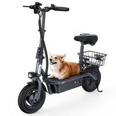 iScooter | F3 1000W Motor Electric Scooter with Seat