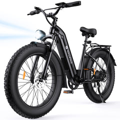 isinwheel U8 Plus Electric Bike for Adults