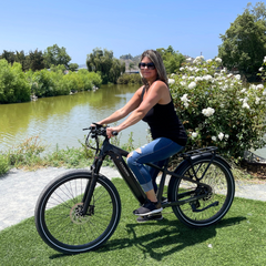 CYCrown | Dremax Commuter Ebike