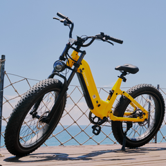CYCrown | Roma All-Terrain Ebike
