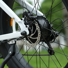 CYCrown | CycVerve Fat Tire Ebike