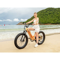 Velowave | Rover Step-Thru Electric Bike