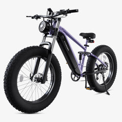 CYCrown | CycUltra All-terrain Ebike