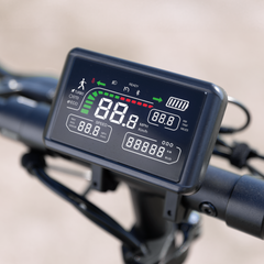 iScooter | X9 Off-Road Electric Scooter Adults 1000W Motor