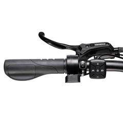 CYCrown | Dremax Commuter Ebike