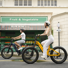 CYCrown | Roma All-Terrain Ebike