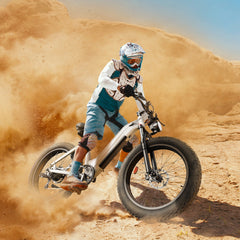 CYCrown | CycVerve Fat Tire Ebike